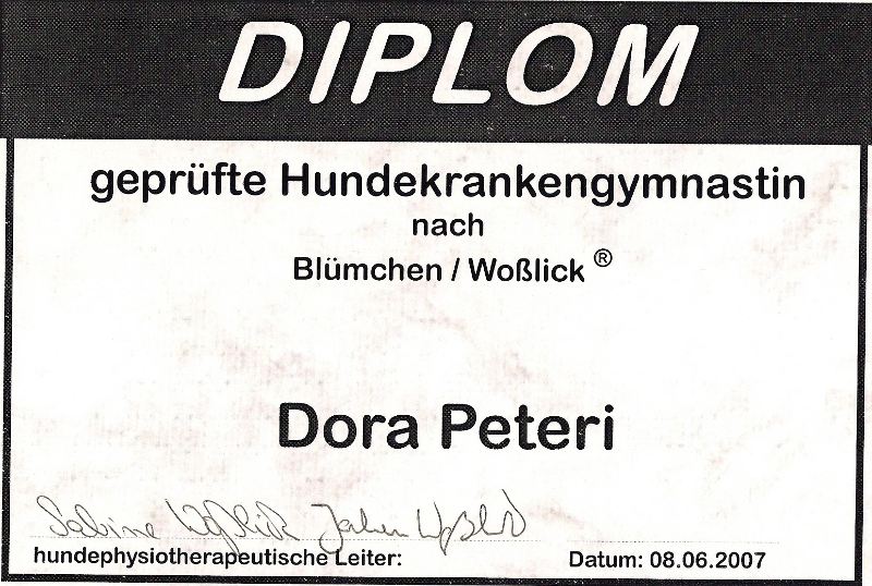 kf_diploma